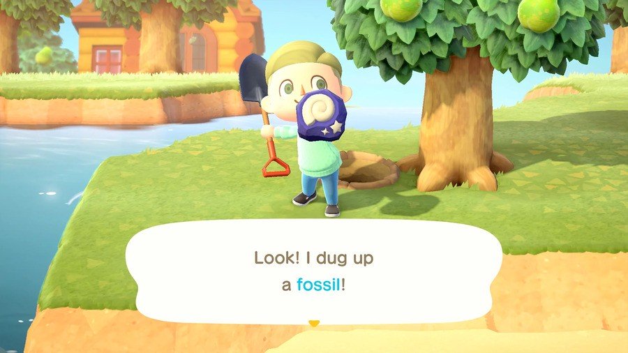 Fósil