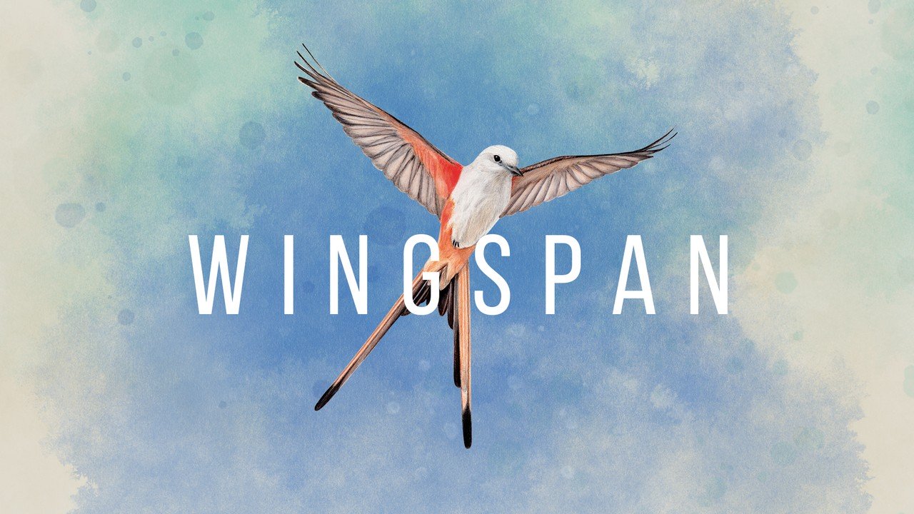 Aquí hay una mirada más cercana a Wingspan, una de las estrellas más tranquilas de Indie World Showcase