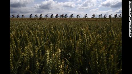 Los ciclistas montan en el campo con campos de trigo en primer plano durante la tercera etapa de la 106a edición de la carrera ciclista del Tour de Francia entre Binche y Epernay, Bélgica, 8 de julio de 2019.