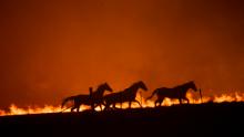 Según la investigación, la crisis climática ha provocado que los incendios en Australia aumenten en al menos un 30%.