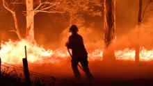 El bombero serpentea a través de los árboles y el calor de los incendios forestales en Nueva Gales del Sur.