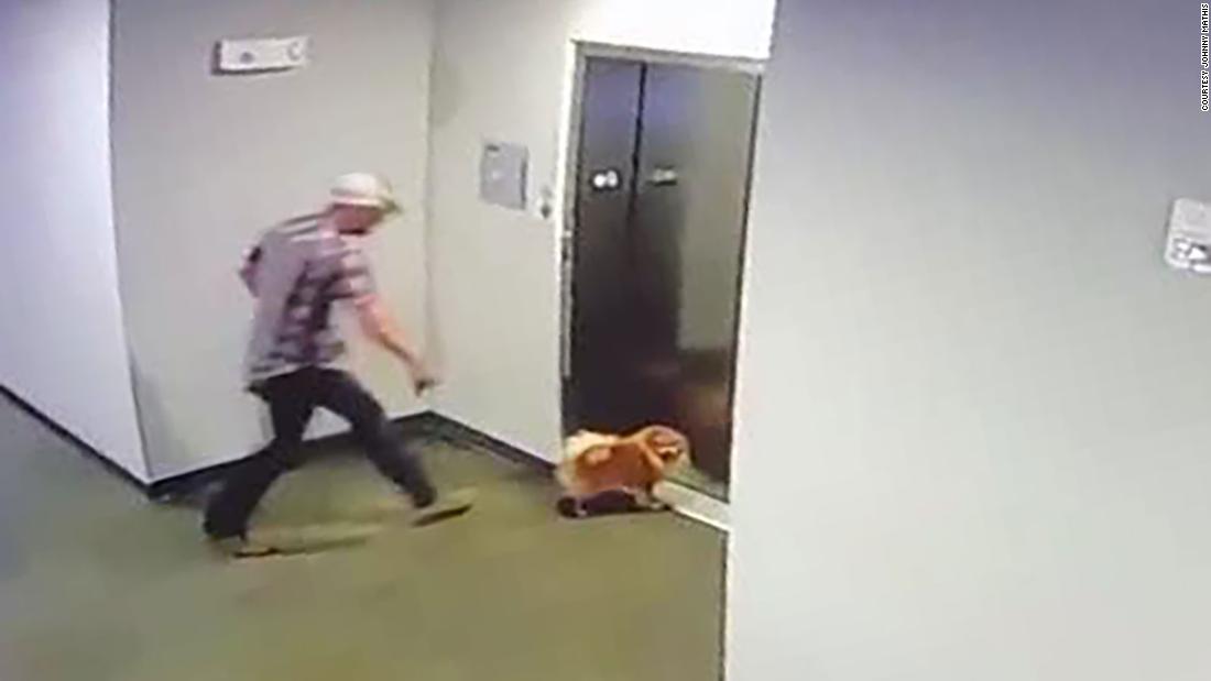 La película muestra a un hombre rescatando al perro de un vecino después de que su correa está atrapada en la puerta del ascensor