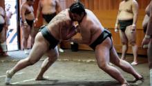 Los luchadores de sumo están tratando de salir del ring o 