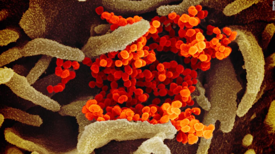 Pandemia de coronavirus: actualizaciones de todo el mundo