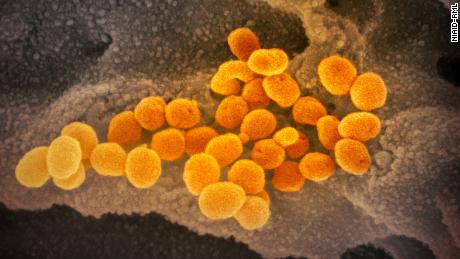Experto en enfermedades infecciosas: solo estamos en la segunda ronda de la pandemia