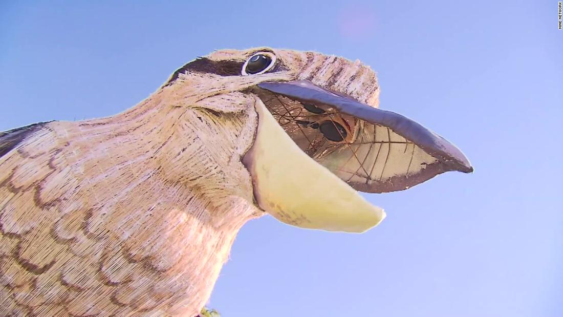 La enorme escultura de kookaburra trae alegría, y mucha risa, en una ciudad australiana