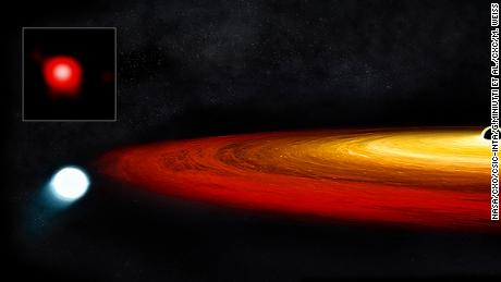 Esta estrella ha sobrevivido a una estrecha conexión con el agujero negro. Con el tiempo se convertirá en un planeta.