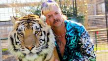 ¿Qué pasó con los grandes felinos? Rey tigre & # 39 ;?